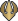 Rara R
